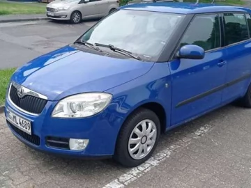 Авто Skoda Fabia 2009 № 7657117