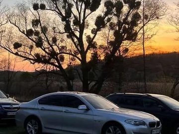 Авто BMW 5 Series 2011 № 7662900
