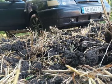 Авто ВАЗ 2111 2006 № 7663306