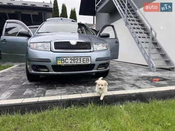 Авто Skoda Fabia 2006 № 7663829