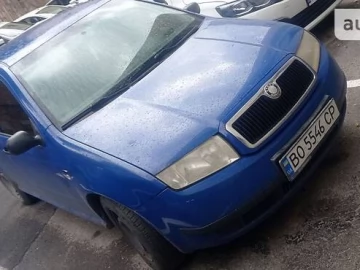 Авто Skoda Fabia 2000 № 7665013