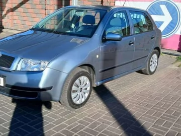 Авто Skoda Fabia 2002 № 7667164