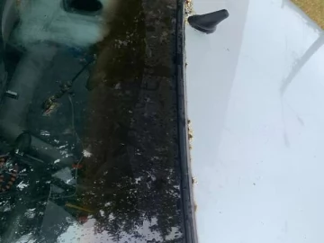 Авто Nissan Almera 2002 № 7668819