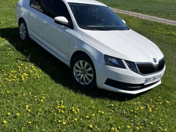 Авто Skoda Octavia 2019 № 7670526