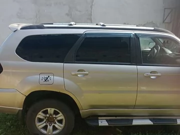 Авто ZXAuto Landmark 2006 № 7674209