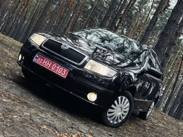 Авто Skoda Fabia 2006 № 7674775