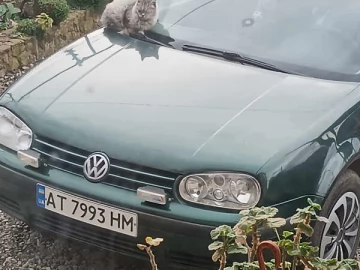 Авто Volkswagen Golf 1999 № 7679776