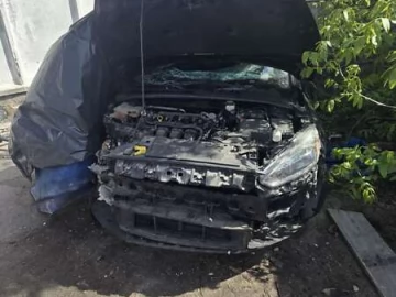 Авто Ford Focus 2018 № 7681540