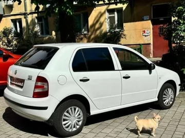 Авто Skoda Fabia 2007 № 7682756