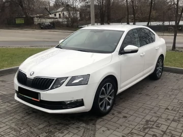 Авто Skoda Octavia 2019 № 7692927