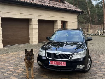 Авто Skoda Octavia 2011 № 7695444