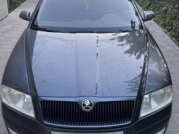 Авто Skoda Octavia 2007 № 7697536