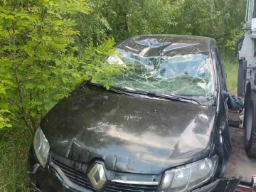Авто Renault Logan 2013 № 7707328