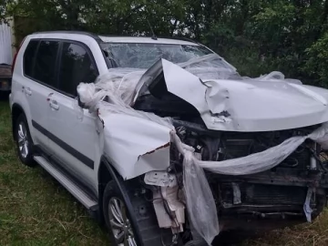 Авто Nissan X-Trail 2013 № 7710410