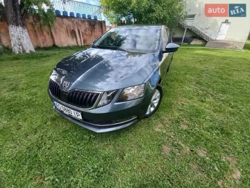 Авто Skoda Octavia 2019 № 7721243