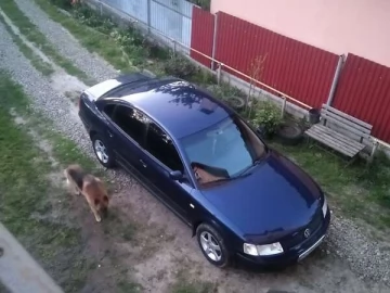 Авто Volkswagen Passat 1999 № 7722492