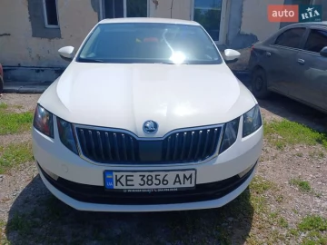 Авто Skoda Octavia 2019 № 7722839