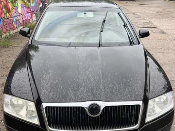 Авто Skoda Octavia 2008 № 7728190