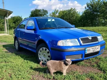 Авто Skoda Octavia 2007 № 7729989