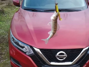 Авто Nissan Qashqai 2019 № 7744027
