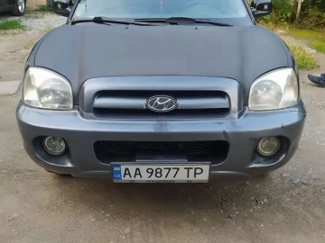 Авто Hyundai Santa Fe 2004 № 7747969