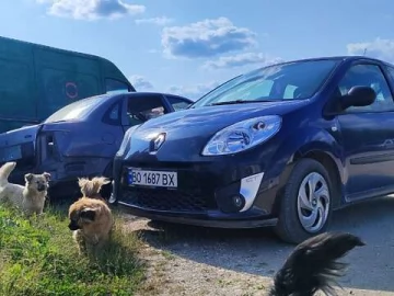 Авто Renault Twingo 2007 № 7754723