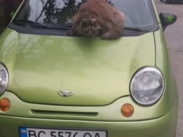Авто Daewoo Matiz 2007 № 7755066