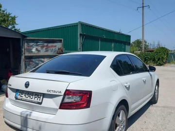 Авто Skoda Octavia 2017 № 7763546