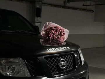 Авто Nissan Pathfinder 2011 № 7765219