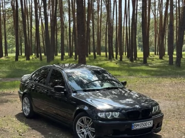 Авто BMW 3 Series 2004 № 7771600