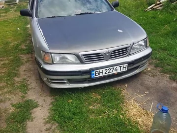 Авто Nissan Maxima 1999 № 7776223
