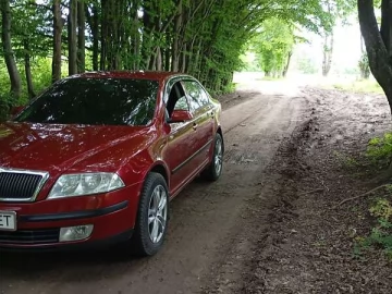 Авто Skoda Octavia 2006 № 7778426