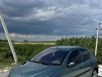 Авто Peugeot 206 2001 № 7780720