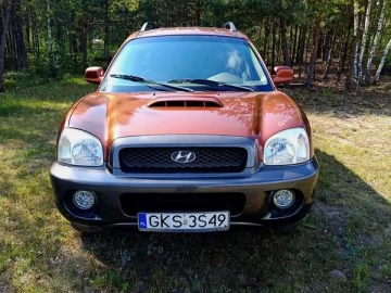 Авто Hyundai Santa Fe 2001 № 7783279