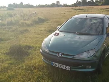 Авто Peugeot 206 2001 № 7785603