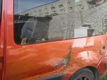 Авто Renault Kangoo 2006 № 7787030