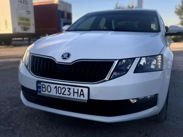 Авто Skoda Octavia 2018 № 7796341