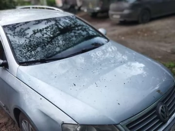 Авто Volkswagen Passat 2005 № 7798031
