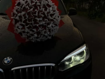 Авто BMW X5 2014 № 7800089