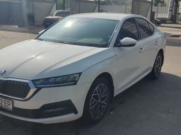 Авто Skoda Octavia 2020 № 7801204