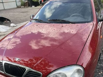 Авто ЗАЗ Lanos 2008 № 7805224