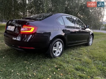 Авто Skoda Octavia 2019 № 7805693