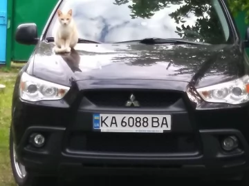 Авто Mitsubishi Asx 2011 № 7806509