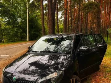Авто Skoda Fabia 2011 № 7810503