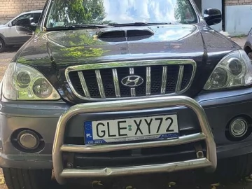 Авто Hyundai Terracan 2003 № 7813190