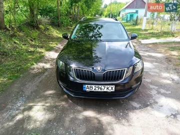 Авто Skoda Octavia 2018 № 7815621