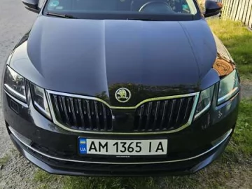 Авто Skoda Octavia 2019 № 7818994