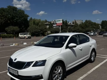 Авто Skoda Octavia 2019 № 7819203