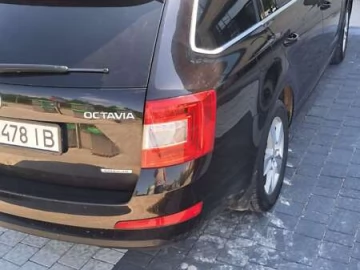 Авто Skoda Octavia 2014 № 7819703