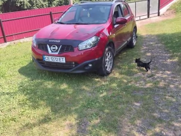 Авто Nissan Qashqai 2013 № 7830284